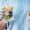 Vitamin IVs and Injections